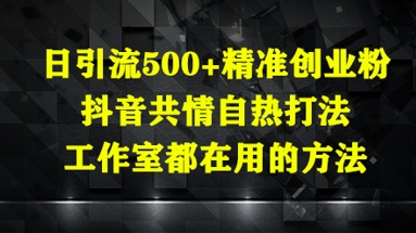 日引流500+精准创业粉，抖音共情自热打法，工作室都在用的方法-邪修侠 - 学院