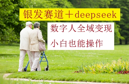 银发赛道+deepseek数字人全域变现，小白也能操作-网亿资源平台