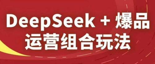 DeepSeek+爆品运营组合玩法，2025淘系精品课-网亿资源平台