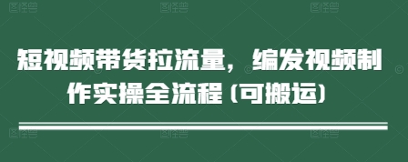 短视频带货拉流量,编发视频制作实操全流程(可搬运)-邪修侠 - 演示