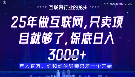 什么！25年你还在找项目做？风口早就变了，卖项目才是稳挣不赔【揭秘】-网亿资源平台