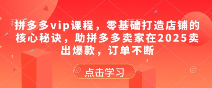 拼多多vip课程，零基础打造店铺的核心秘诀，助拼多多卖家在2025卖出爆款，订单不断-网亿资源平台