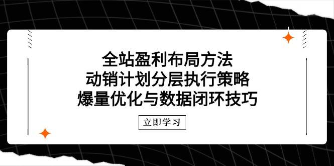 （14698期）全站盈利布局方法：动销计划分层执行策略，爆量优化与数据闭环技巧-网亿资源平台