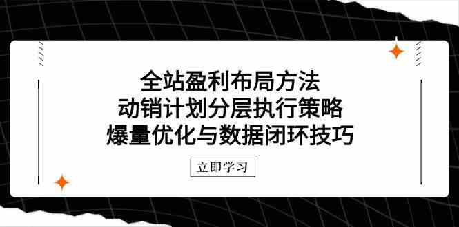 全站盈利布局方法：动销计划分层执行策略，爆量优化与数据闭环技巧-网亿资源平台