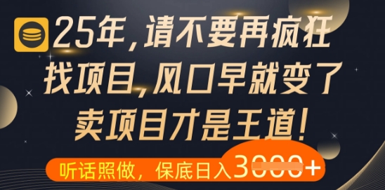 什么？25年你还在疯狂找项目做，醒醒吧，看完这些你全都懂了【揭秘】-网亿资源平台