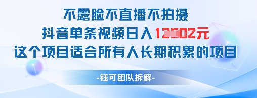 不露脸不直播不拍摄抖音单条视频日入1k+这个项目适合所有人长期积累的项目-网亿资源平台