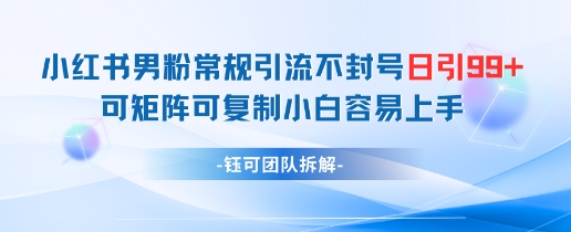 小红书男粉常规引流不封号日引99+变现简单 可矩阵可复制小白容易上手-网亿资源平台