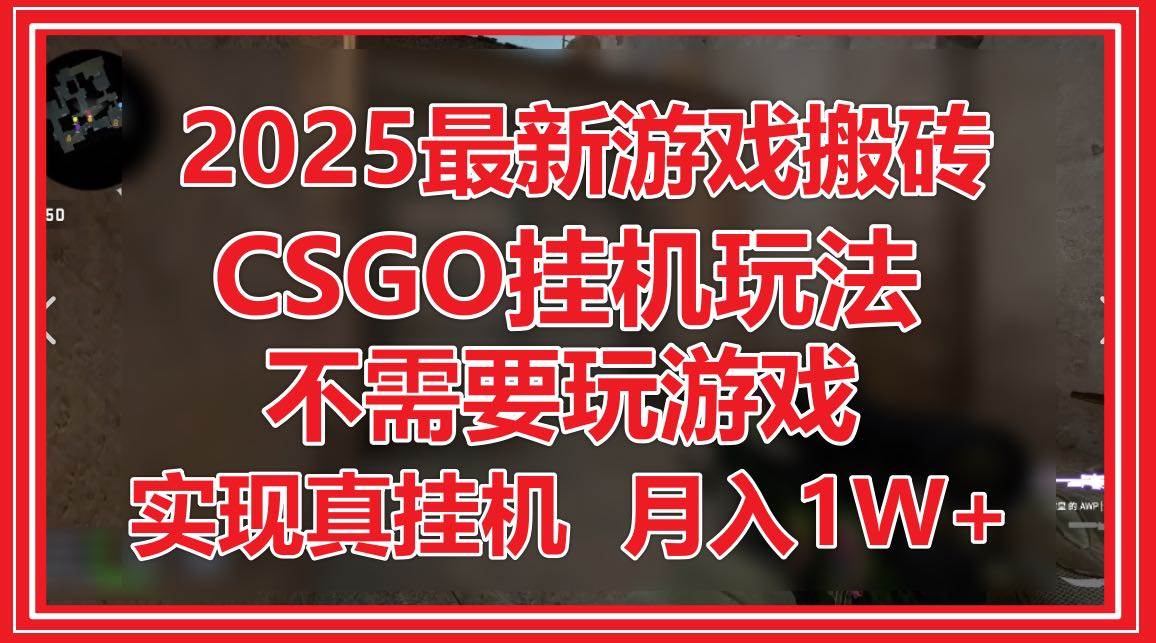 （14743期）2025最新游戏搬砖，CSGO挂机，不需要玩游戏，实现真挂机，月入1W+-网亿资源平台