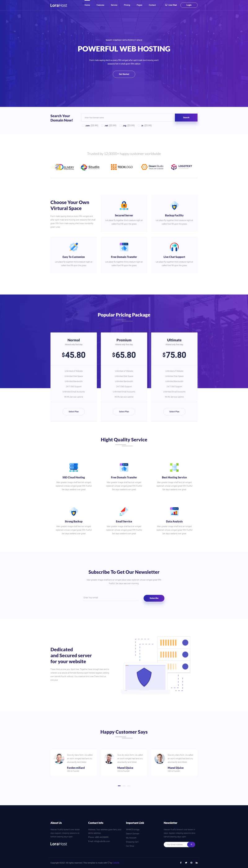 虚拟主机域名服务器托管html网站模板-网亿资源平台