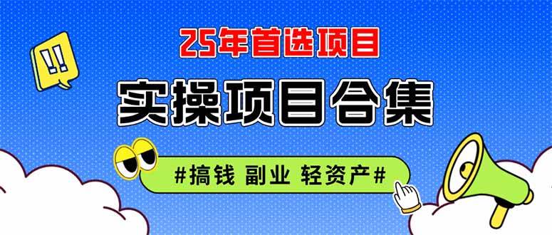 （14767期）2025实操项目合集 挂机类型 直播类型 轻资产创业类型 课程分享各项目介…-网亿资源平台