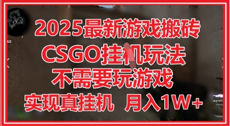 2025最新游戏搬砖，CSGO挂G，不需要玩游戏，实现真挂G，月入1W+【揭秘】-网亿资源平台