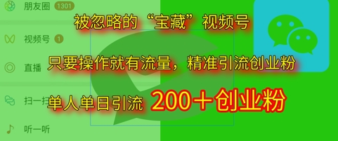 被忽略的“宝藏”视频号引流精准创业粉单人单日引流200+精准粉-网亿资源平台