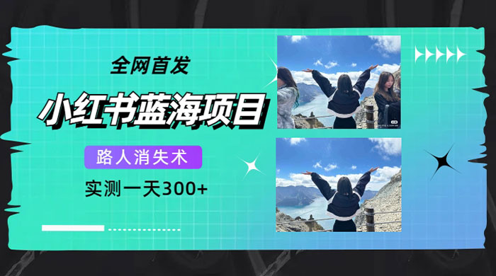 小红书蓝海项目，路人消失术，实测一天 300+-网亿资源平台