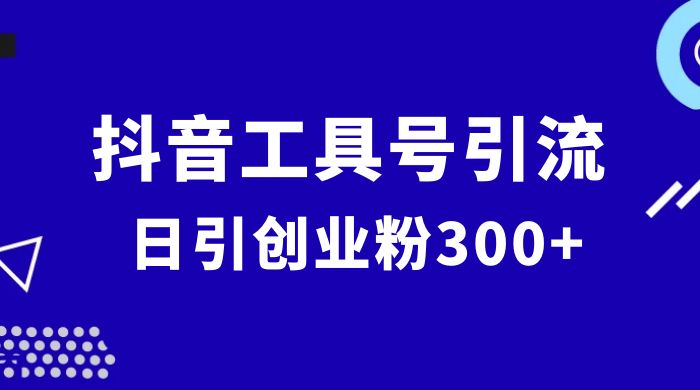 抖音工具号引流玩法，日引创业粉 300+-网亿资源平台