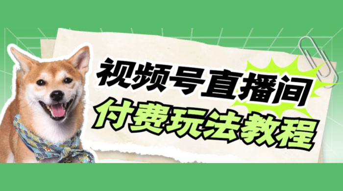 视频号美女付费无人直播，轻松日入500+（详细玩法教程）-网亿资源平台