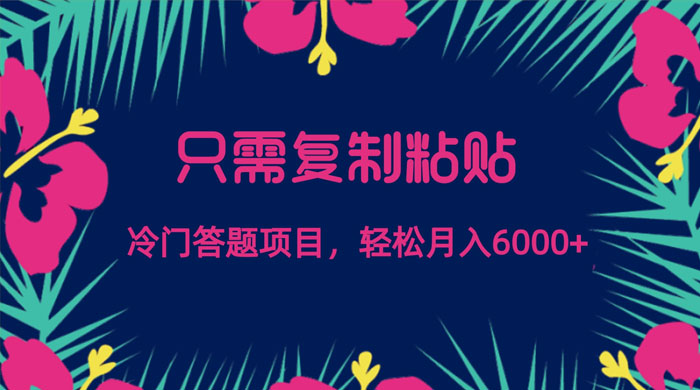 只需复制粘贴，冷门答题项目，轻松月入 6000-网亿资源平台