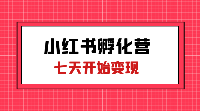 价值 2000+ 的小红书孵化营项目，超级大蓝海，七天即可开始变现，稳定月入 1W+-网亿资源平台