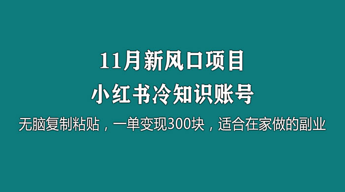 11 月新风口项目，小红书冷知识账号，无脑复制粘贴，一单变现 300 块，适合在家做的副业-网亿资源平台