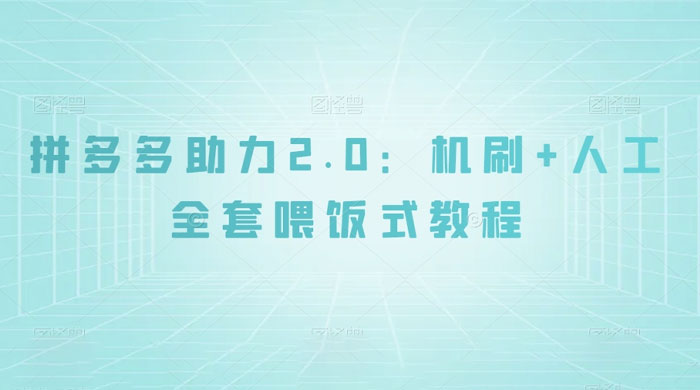 拼夕夕助力 2.0 新玩法：机刷+人工全套交付，喂饭式教程-网亿资源平台