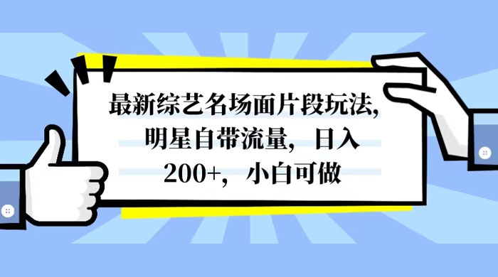 最新综艺名场面片段玩法，明星自带流量，日入200+，小白可做-网亿资源平台
