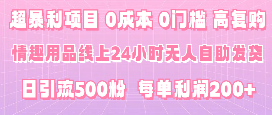 超暴利项目，情趣用品线上24小时-无人自助发货，0成本，0门槛，高复购，有手就能做，日引500粉，每单利润200+-网亿资源平台