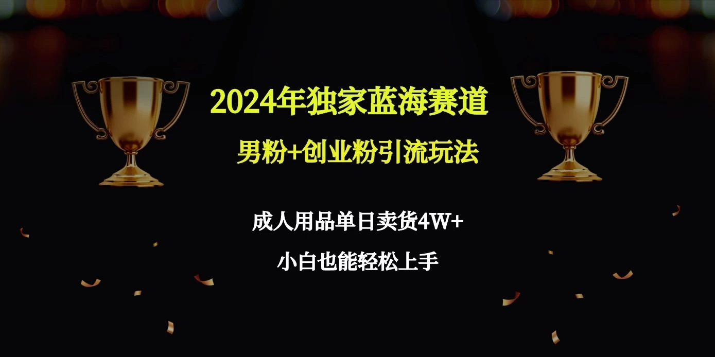 2024独家蓝海赛道，男粉＋创业粉引流玩法。-网亿资源平台