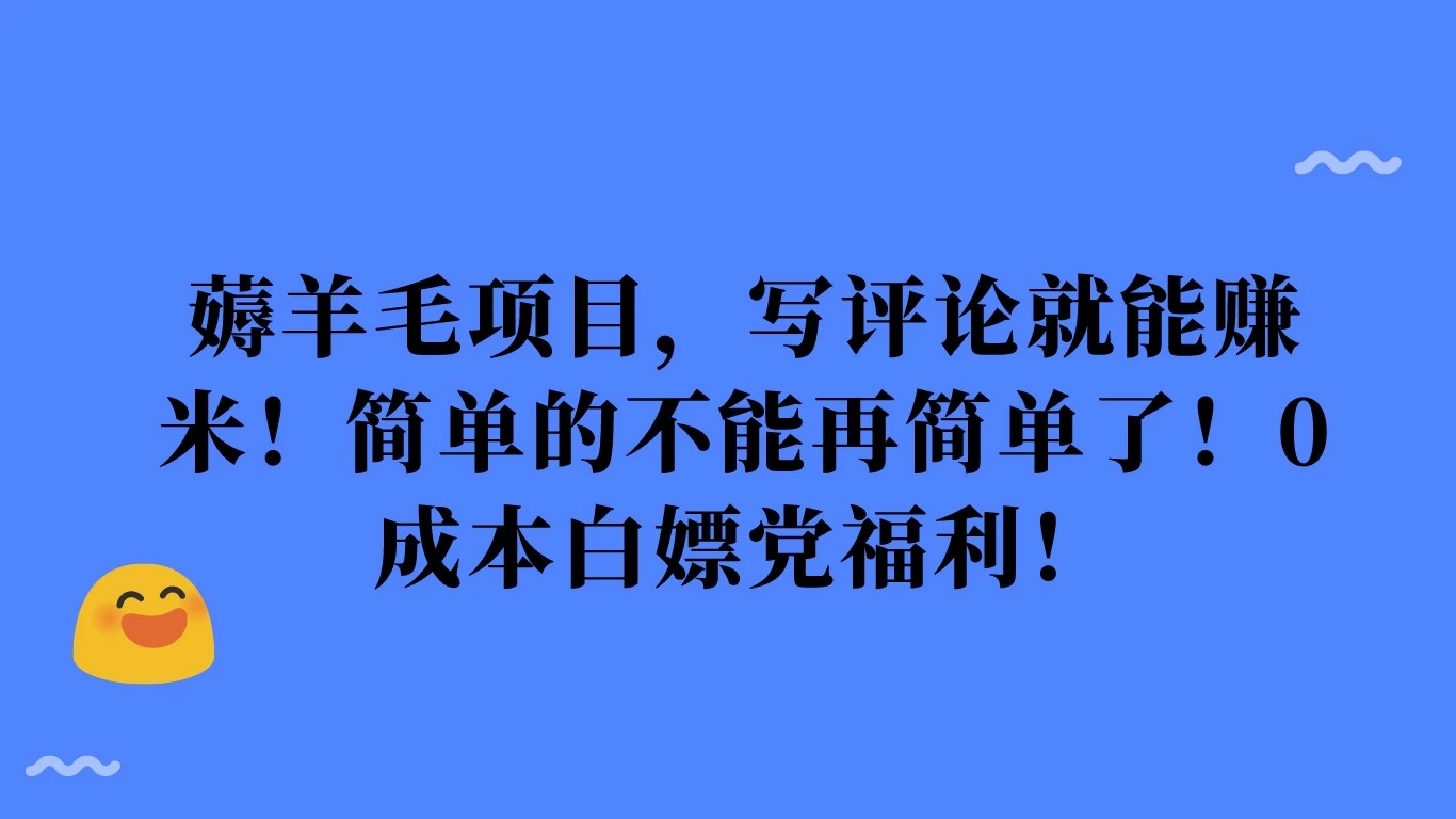 薅羊毛项目，写评论就能赚米！简单的不能再简单了！0成本白嫖党福利！-网亿资源平台