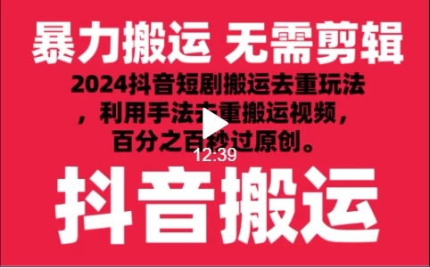 2024最新抖音搬运技术，抖音短剧视频去重，手法搬运，利用工具去重，达到秒过原创的效果-网亿资源平台