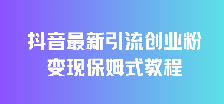 抖音最新引流创业粉+变现保姆式教程 直接无脑套模板即可-网亿资源平台