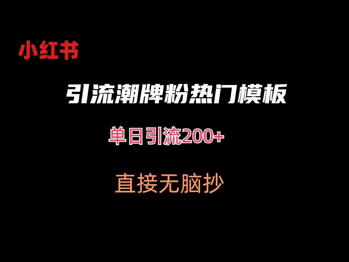 最新小红书无脑套模板单日引流200+潮牌粉-网亿资源平台