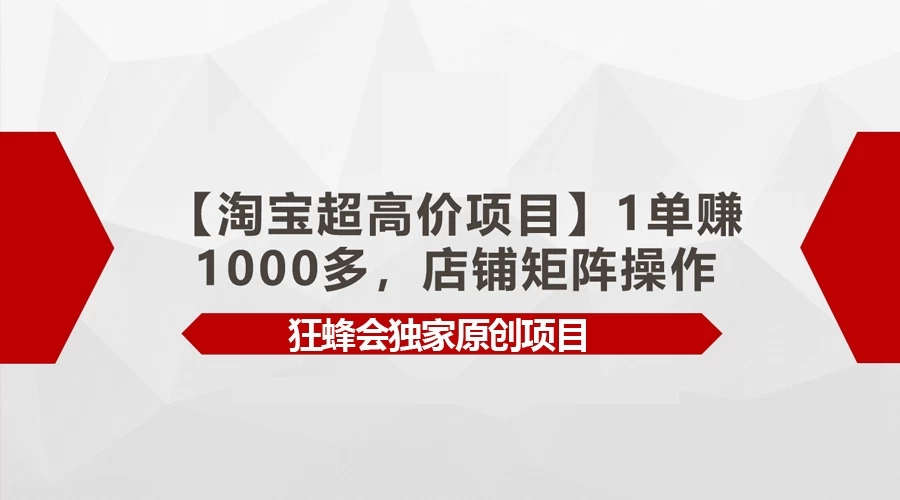 淘宝超高价项目，1单赚1000多，店铺矩阵操作-网亿资源平台