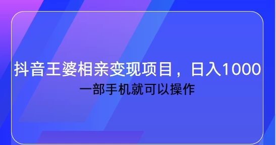 抖音王婆相亲变现私域项目，日入1000+ 一部手机就可操作-网亿资源平台
