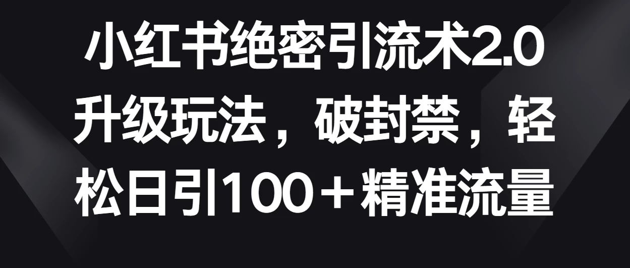 小红书绝密引流术2.0升级玩法，破封禁，轻松日引100＋精准流量-网亿资源平台