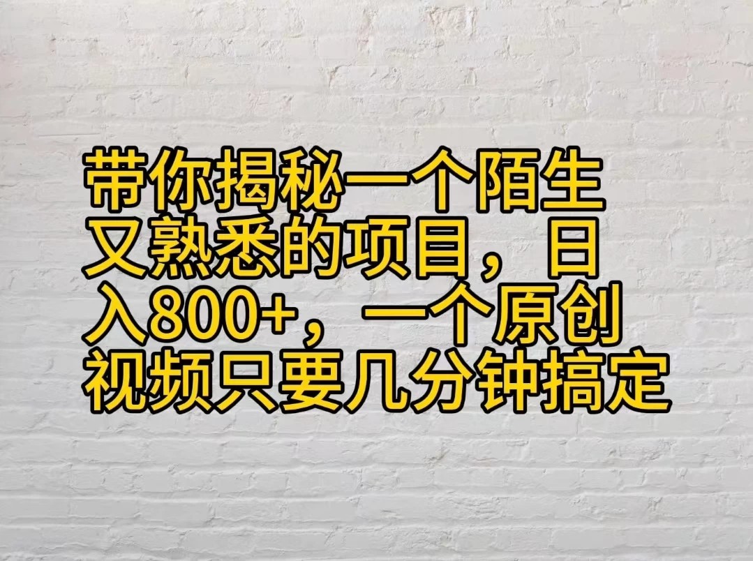 带你揭秘一个陌生又熟悉的项目，日入800+，一个原创视频只要几分钟搞定-网亿资源平台