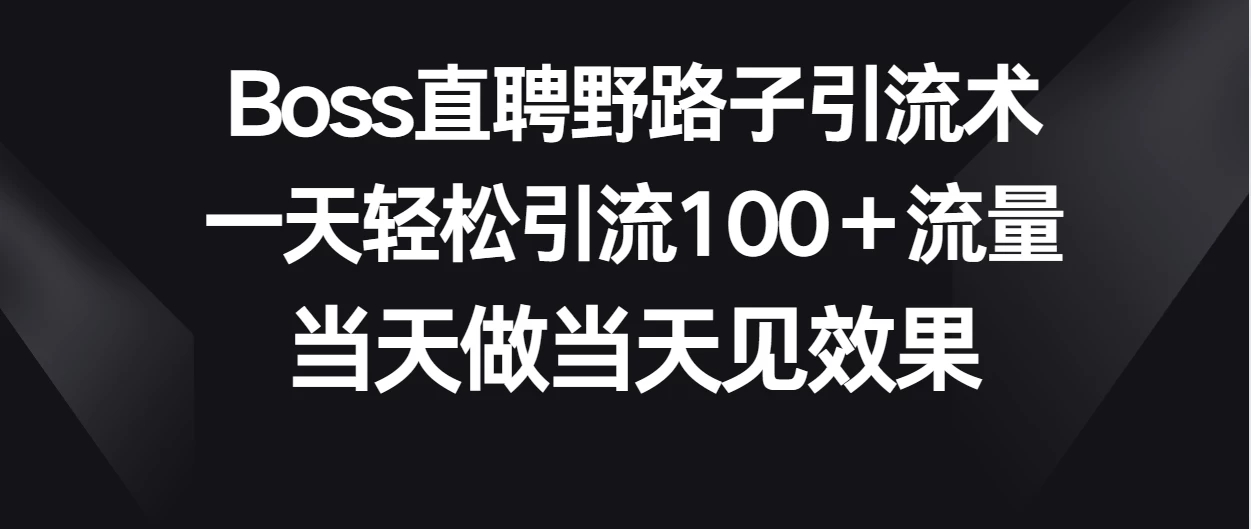 Boss直聘野路子引流术，一天轻松引流100+流量，当天做当天见效果-网亿资源平台