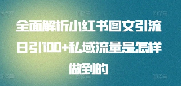 全面解析小红书图文引流日引100私域流量是怎样做到的-网亿资源平台