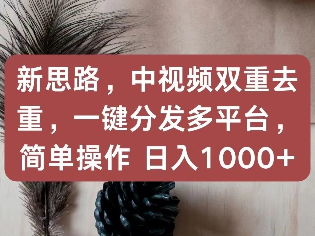 新思路，中视频双重去重，一键分发多平台，简单操作，日入1000+！快来试试吧！-网亿资源平台