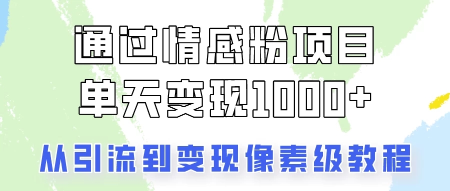 我是怎么通过情感粉项目单天变现1000+的，从引流到变现像素级教程-网亿资源平台