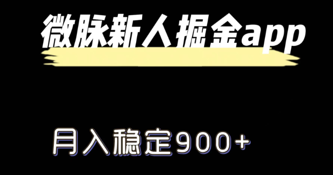 最新微脉长久项目，拉新掘金，月入稳定900+-网亿资源平台