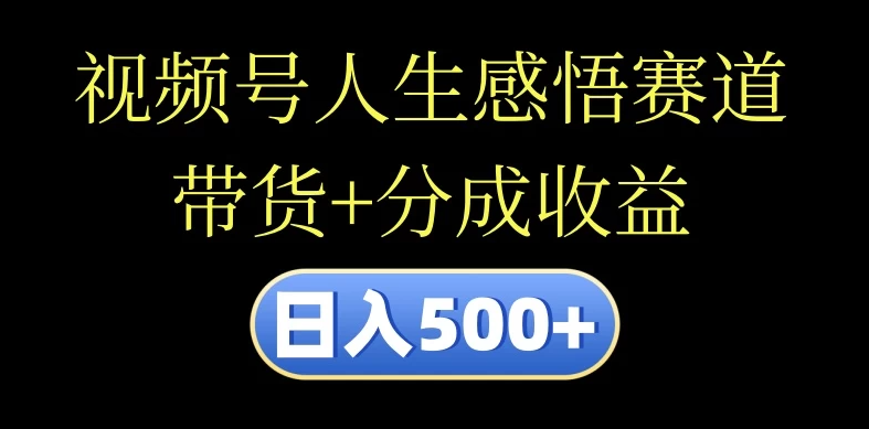 视频号人生感悟赛道，带货+分成收益，日入500+，10分钟做一个视频-网亿资源平台