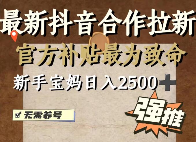 最新抖音合作拉新,新手宝妈日入2500+,无需养号,十分钟即可上手操作-网亿资源平台