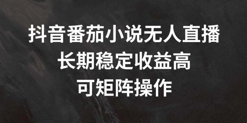 抖音番茄小说无人直播，长期稳定收益高，可矩阵操作-网亿资源平台