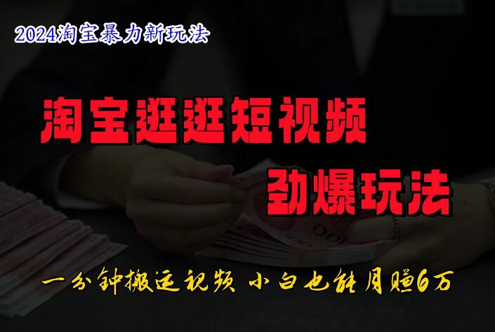 蓝海项目，淘宝逛逛视频分成计划，日入500+，只需一分钟搬运视频-网亿资源平台