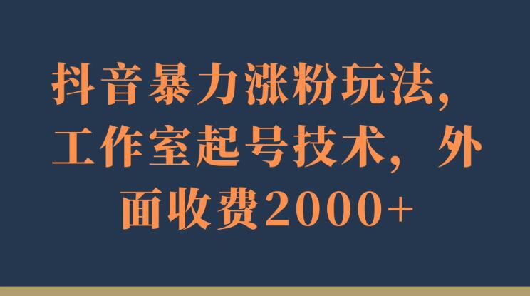 抖音暴力涨粉玩法，工作室起号技术，外面收费2000+-网亿资源平台