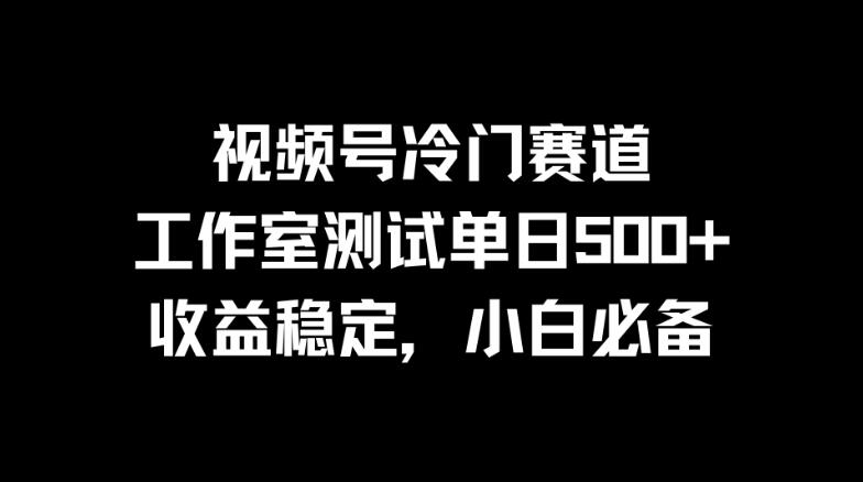 视频号冷门赛道，工作室测试单日500+，收益稳定，小白必备-网亿资源平台