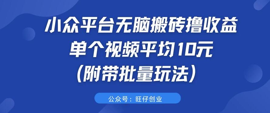 小众平台无脑搬砖撸收益，单个视频平均10元 (附带批量玩法）-网亿资源平台