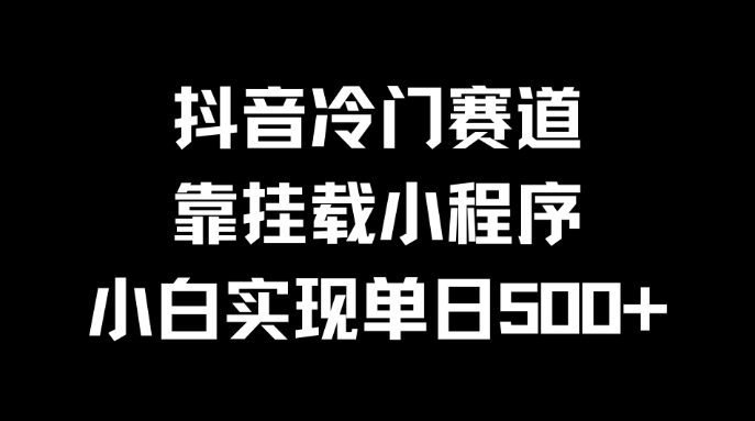 抖音冷门赛道,靠挂载小程序,小白实现单日500+-网亿资源平台