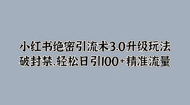 小红书绝密引流术3.0升级玩法，破封禁，轻松日引100+精准流量-网亿资源平台