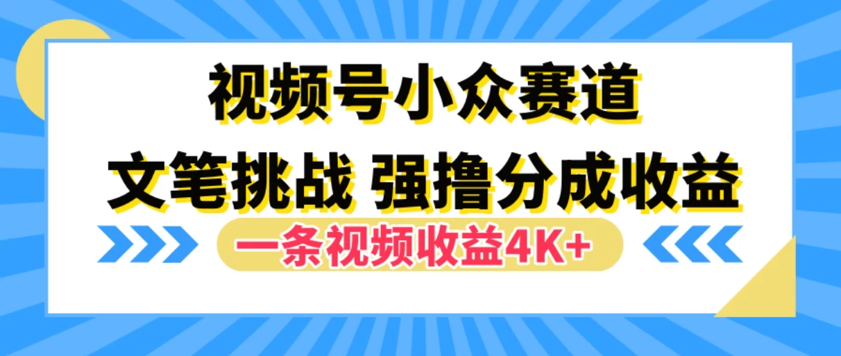 视频号小众赛道,文笔挑战,一条视频收益4K+-网亿资源平台