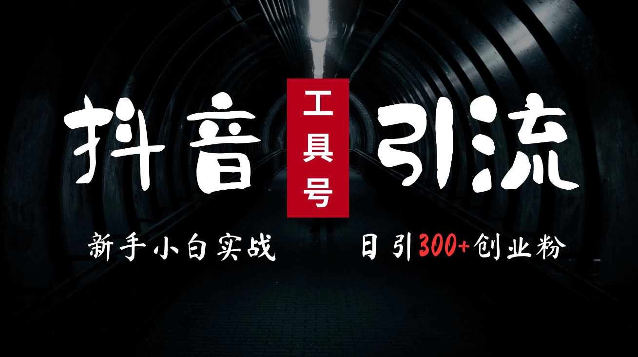 2024最新抖音工具号引流玩法，高效日引300+创业粉，当天变现5000+，小白也可成为实战高手-网亿资源平台